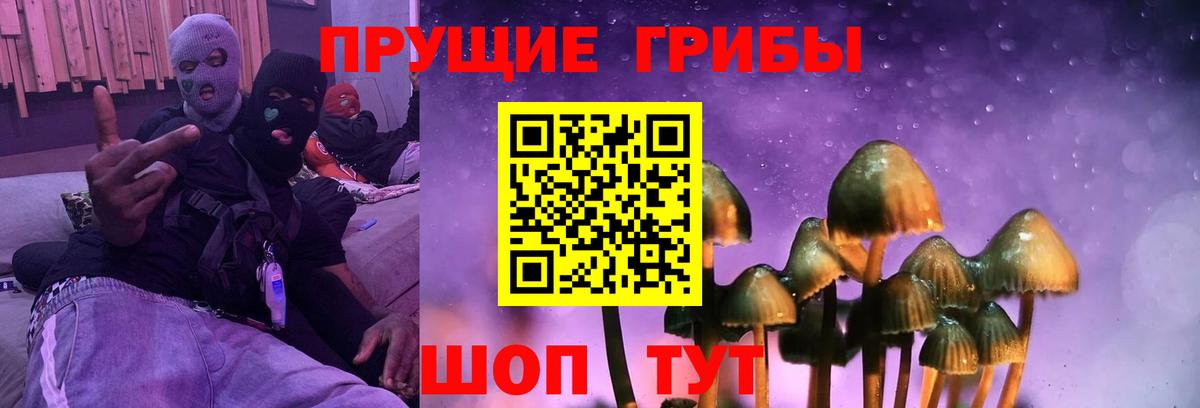 Королёв  Псилоцибиновые грибы мицелий  Вход с VPN 